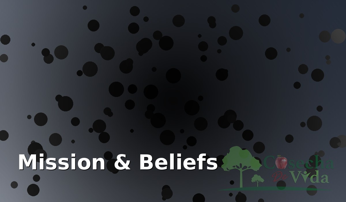 Mission and beliefs tile image